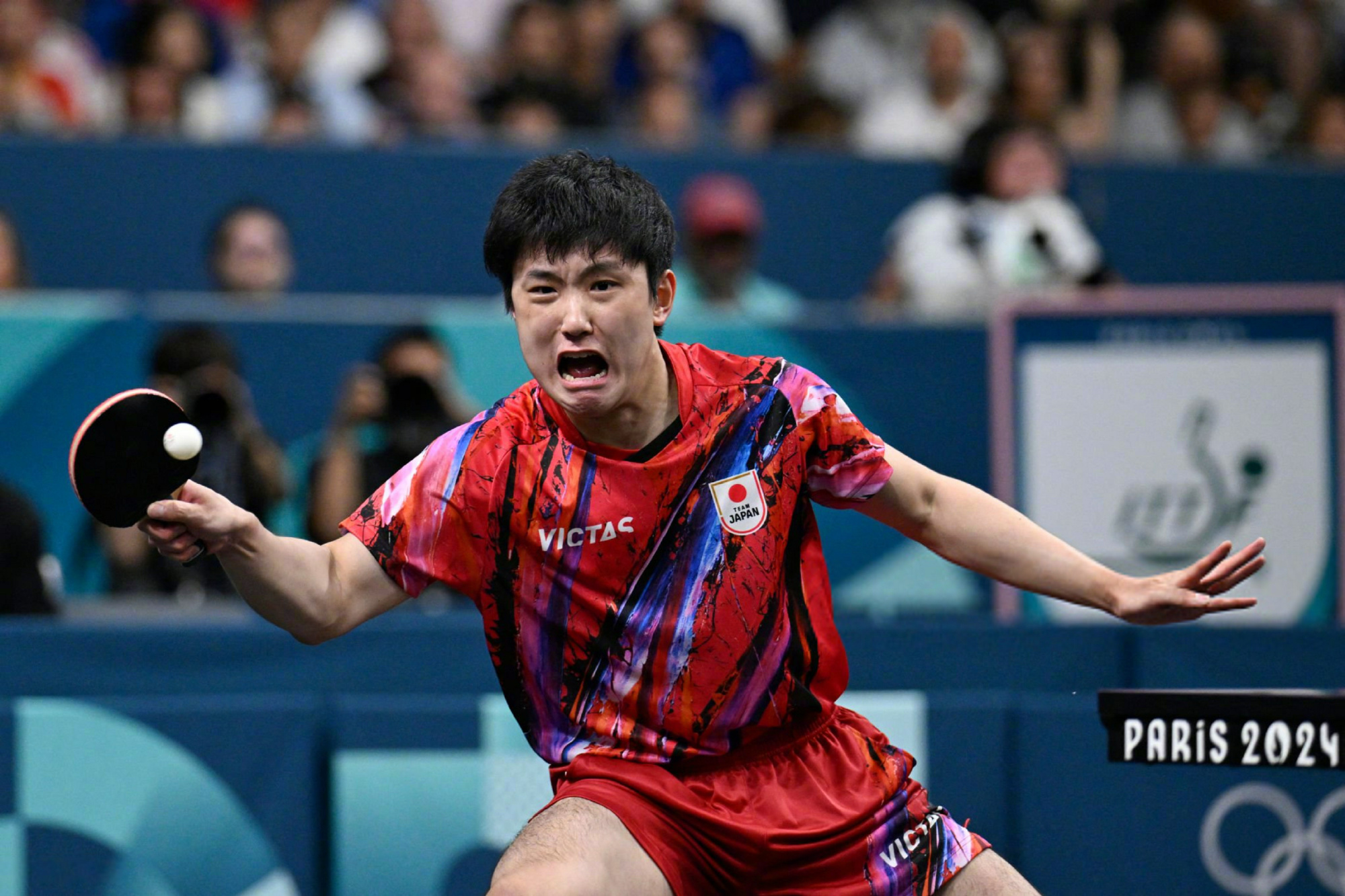 韩国队完胜葡萄牙队，张本智和刷新纪录