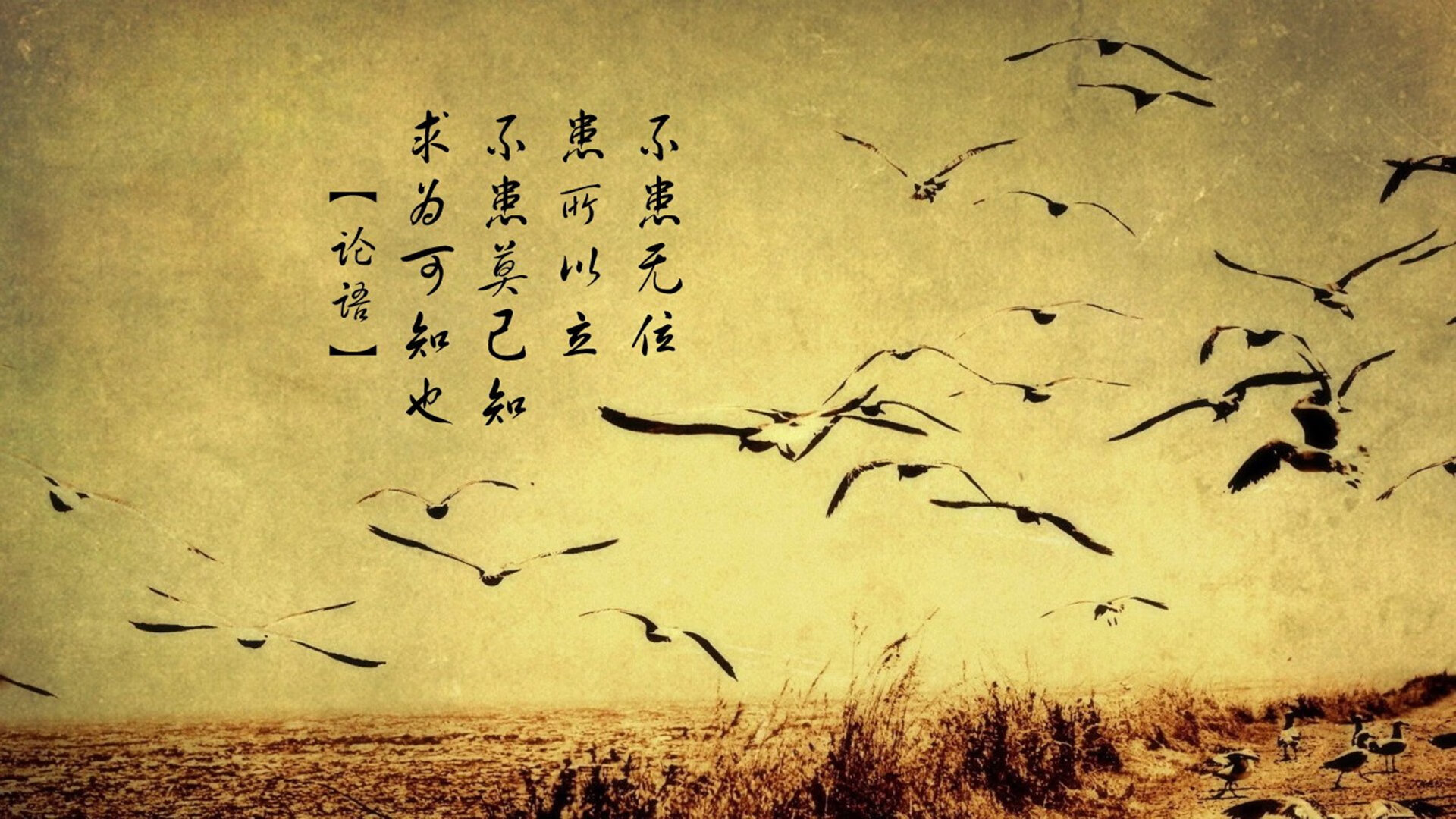 厄德高爆发，皇家社会强压西班牙的战术革命